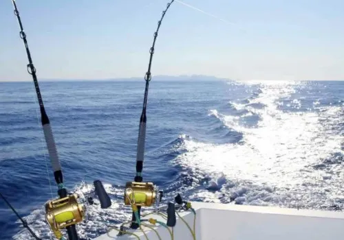 Pesca Privada (Deep Sea)